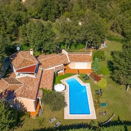 Vila Beautiful Chantilly With Pool In Visnjan *