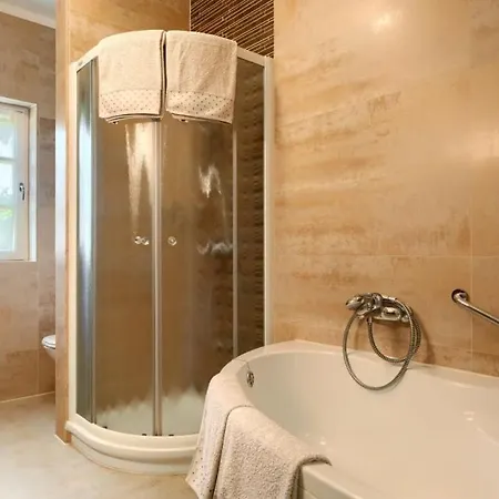 Vila Beautiful Chantilly With Pool In Visnjan