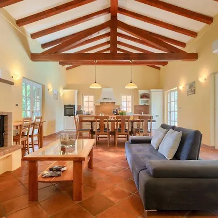 Vila Beautiful Chantilly With Pool In Visnjan Fabci